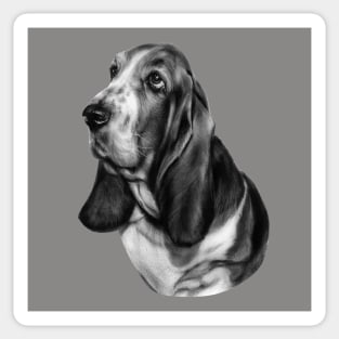 Hand painted Basset Hound Artwork Sticker